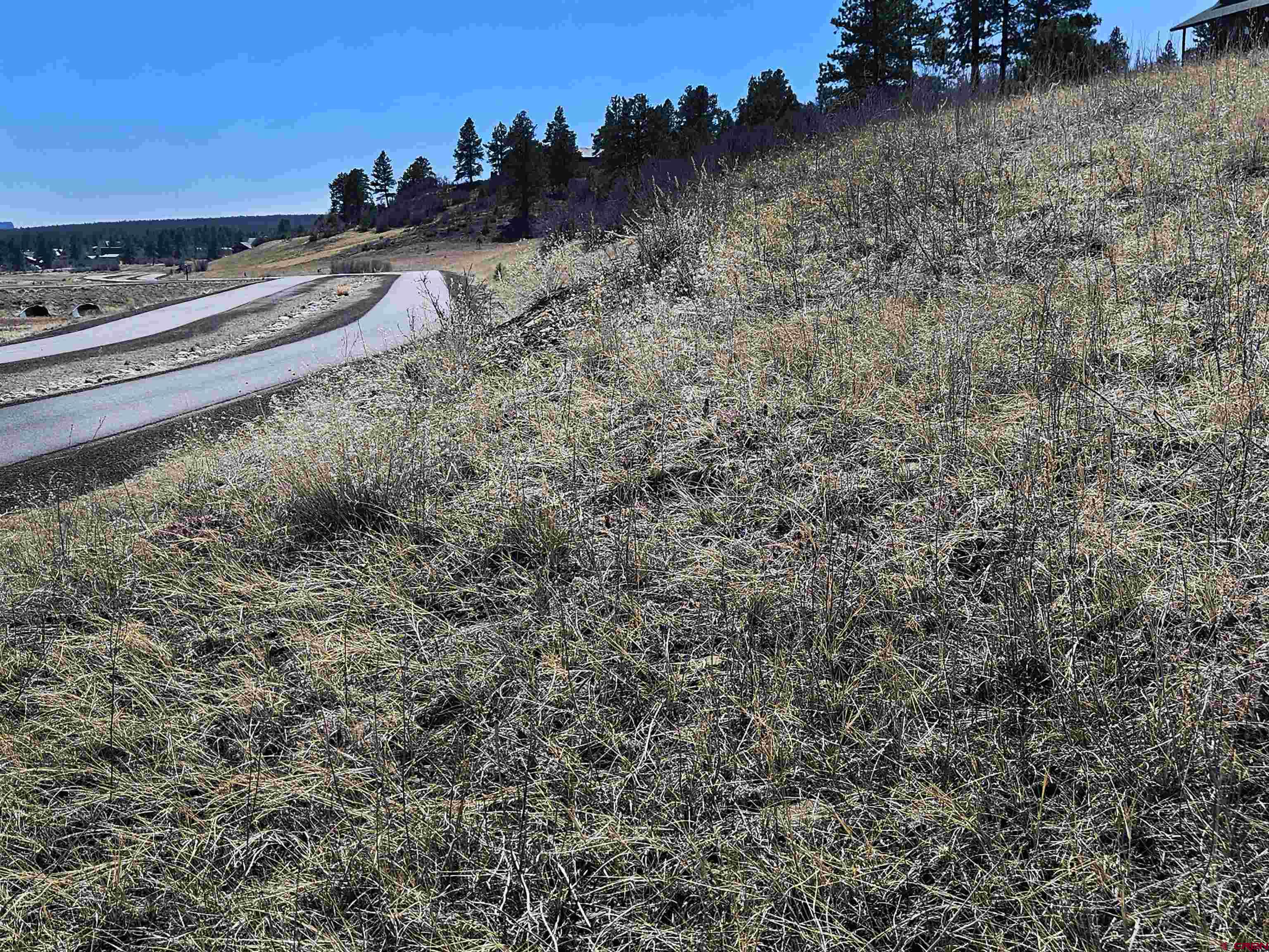 721 Clint Circle Pagosa Springs, CO 81147 - Photo 27 of 42 a view of a dry yard with wooden fence