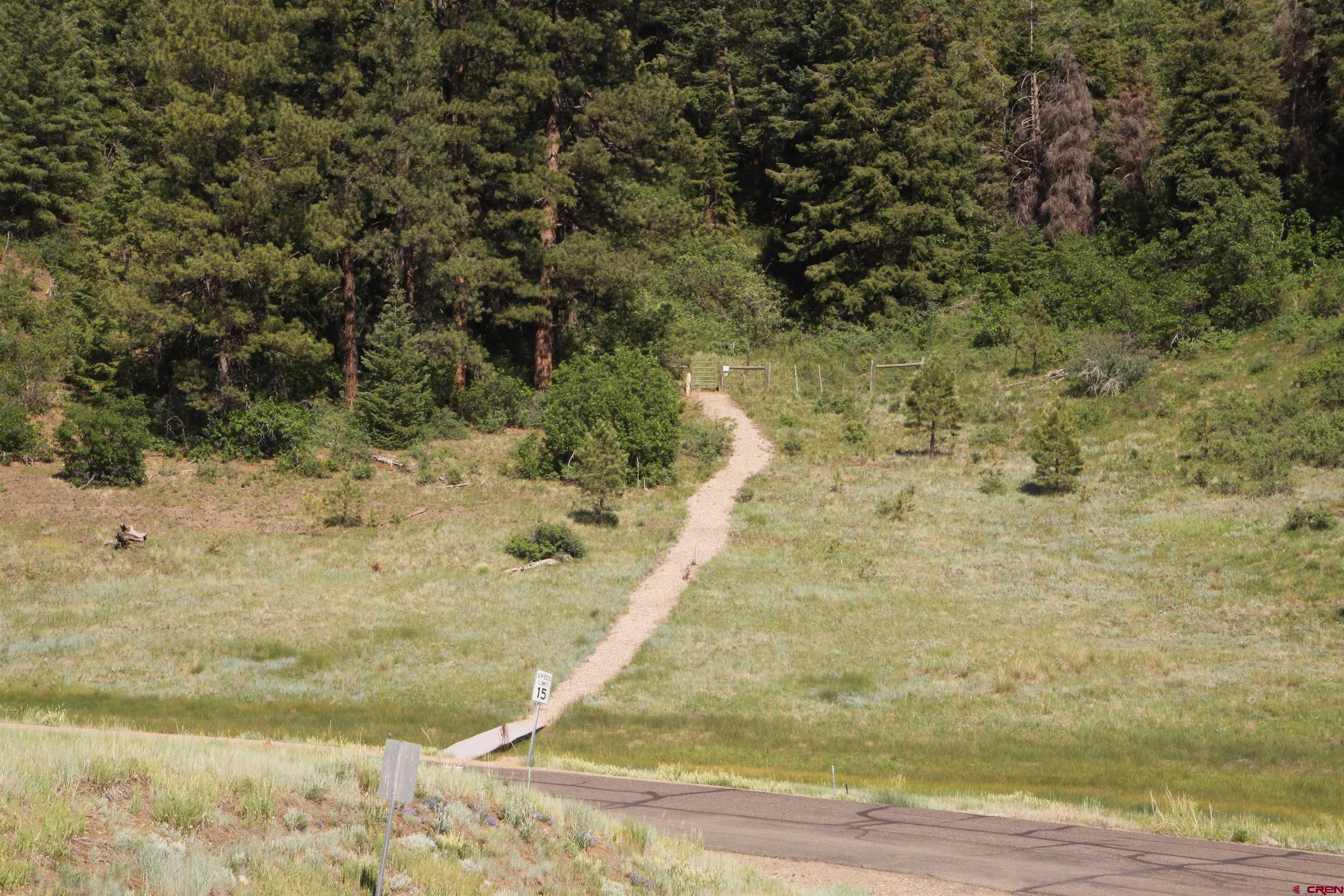 721 Clint Circle Pagosa Springs, CO 81147 - Photo 29 of 42 a view of a yard