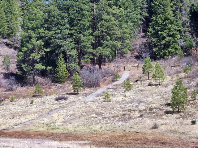 $80,000 | 721 Clint Circle, Pagosa Springs, CO 81147