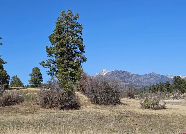 $80,000 | 721 Clint Circle, Pagosa Springs, CO 81147