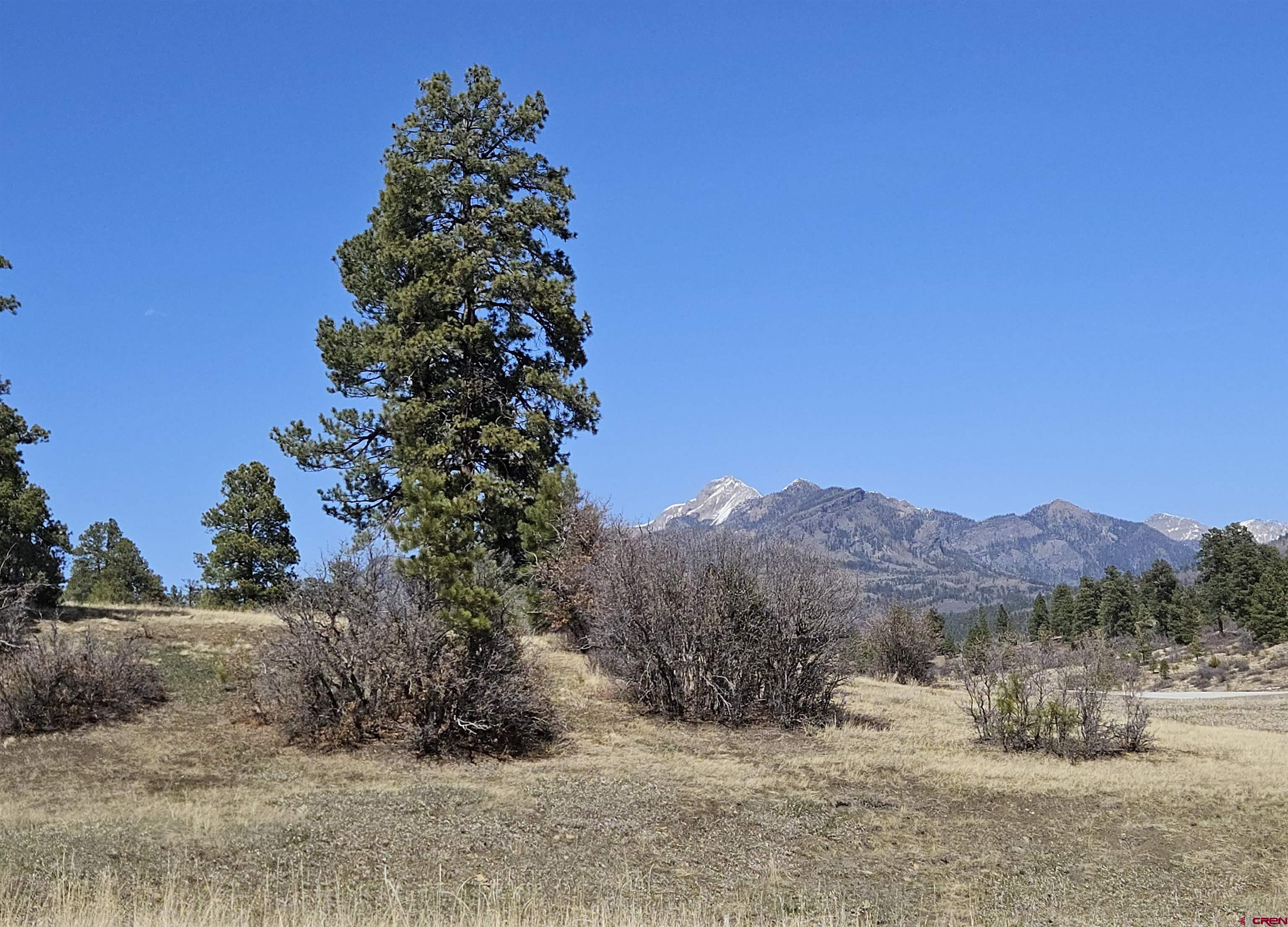 721 Clint Circle Pagosa Springs, CO 81147 - Photo 3 of 42 a view of a dry yard with a tree