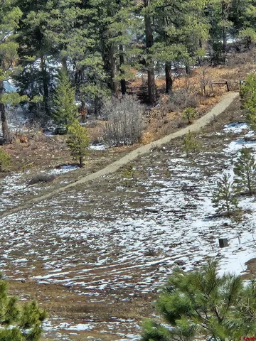 $80,000 | 721 Clint Circle, Pagosa Springs, CO 81147