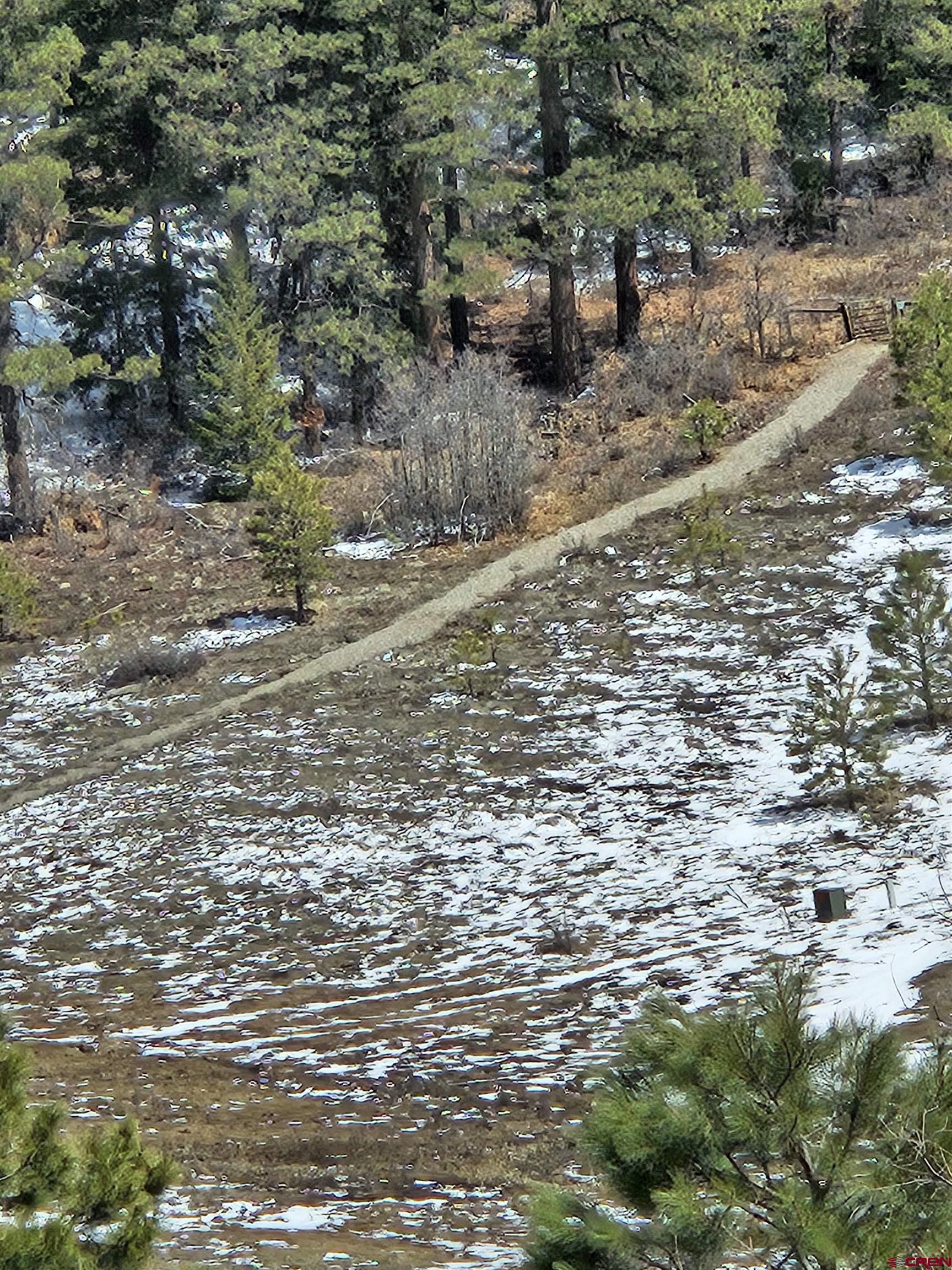 721 Clint Circle Pagosa Springs, CO 81147 - Photo 31 of 42 a view of a dry yard with wooden stairs