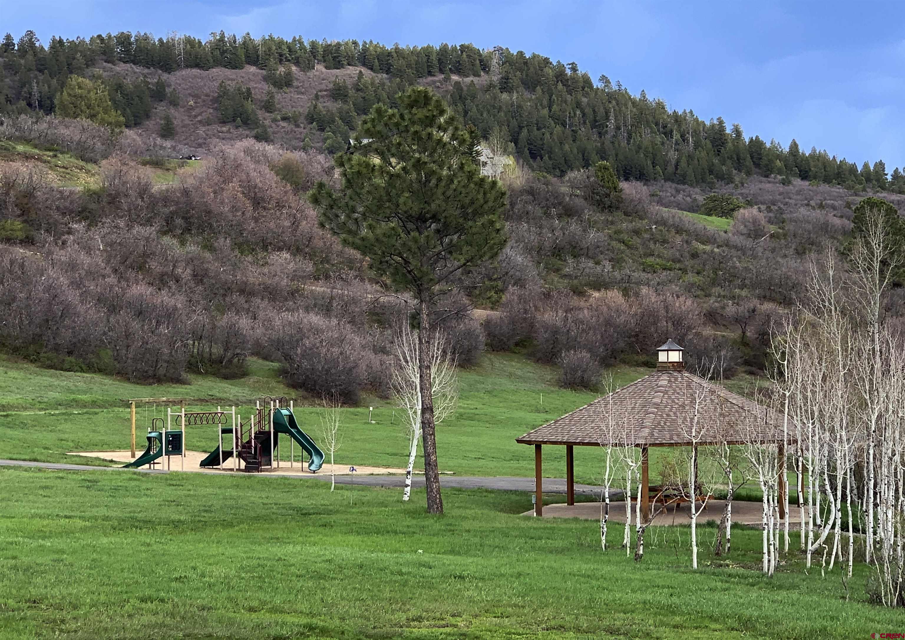 721 Clint Circle Pagosa Springs, CO 81147 - Photo 34 of 42 a view of a house with a yard