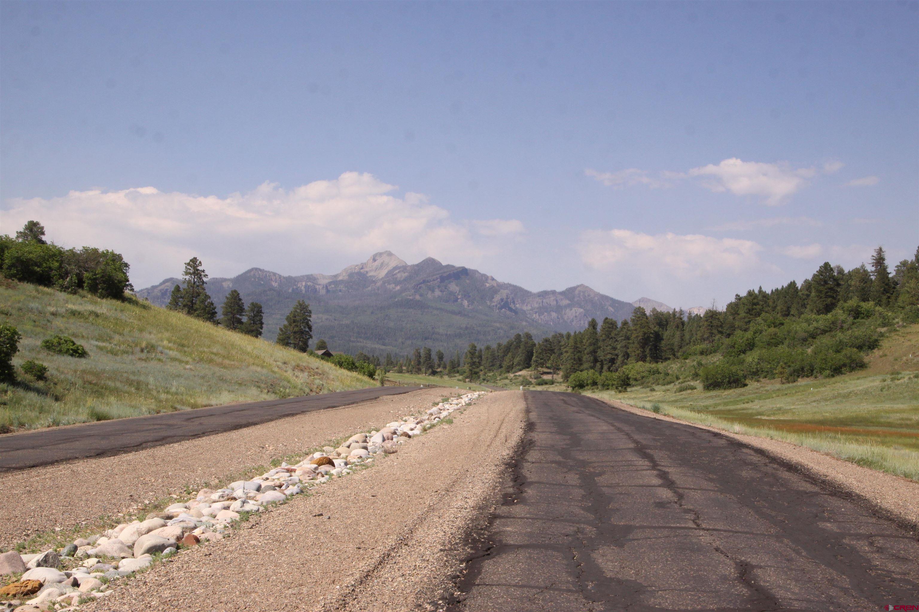 721 Clint Circle Pagosa Springs, CO 81147 - Photo 36 of 42 a view of a road with a yard