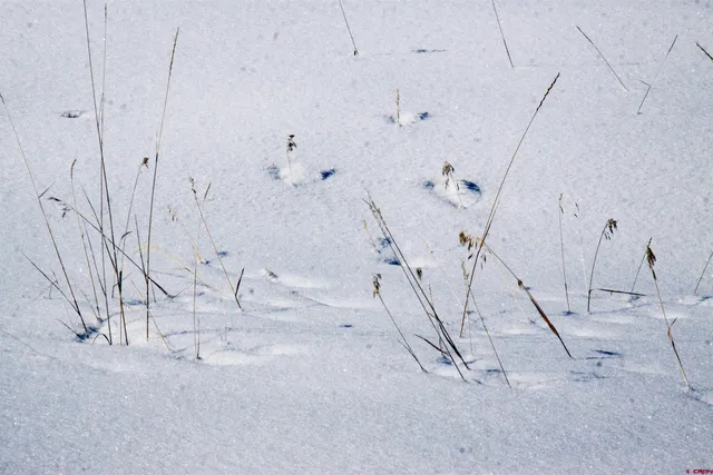 $80,000 | 721 Clint Circle, Pagosa Springs, CO 81147