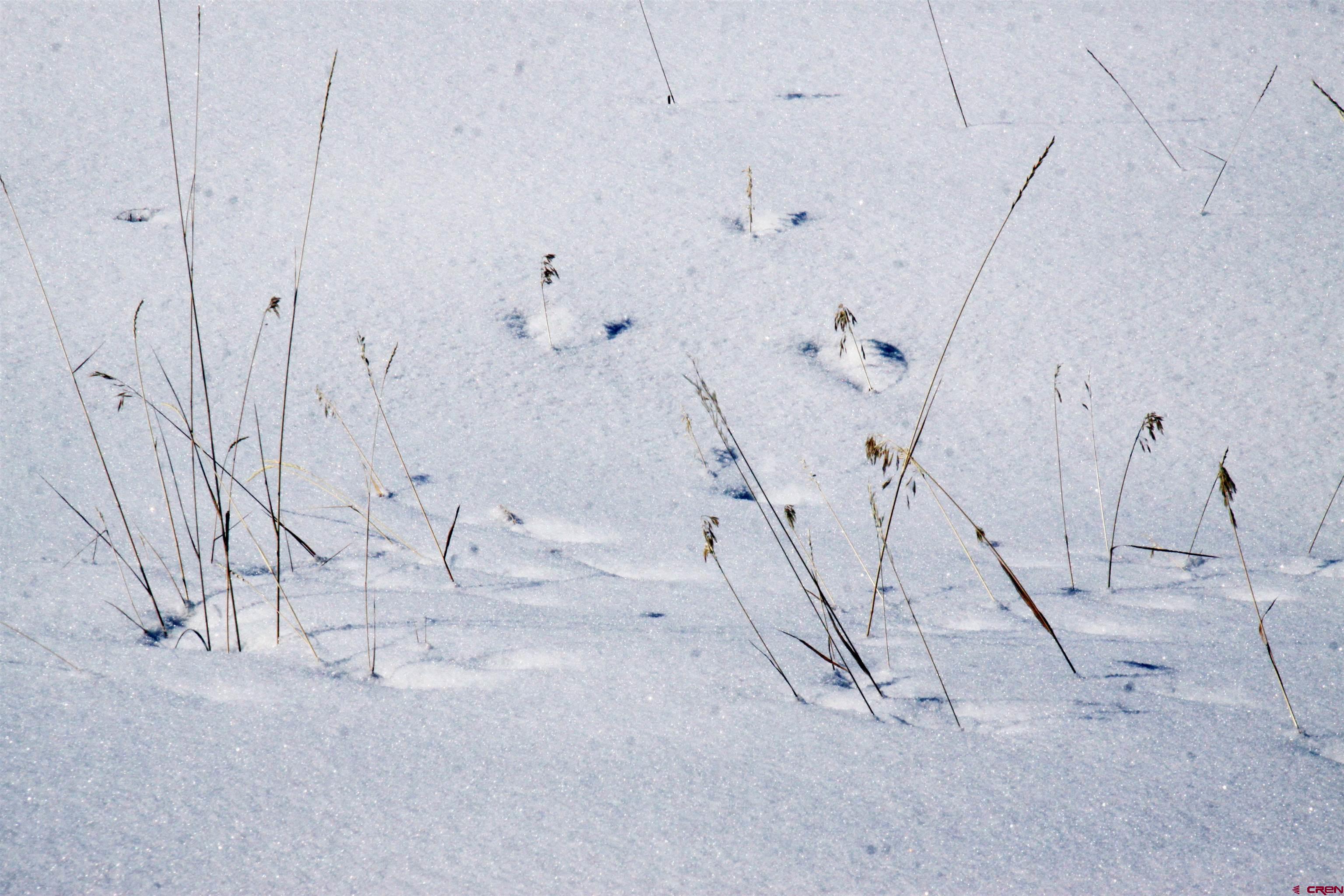 721 Clint Circle Pagosa Springs, CO 81147 - Photo 41 of 42 a view of a room with basketball court