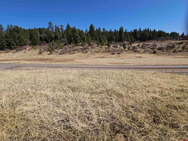 $80,000 | 721 Clint Circle, Pagosa Springs, CO 81147