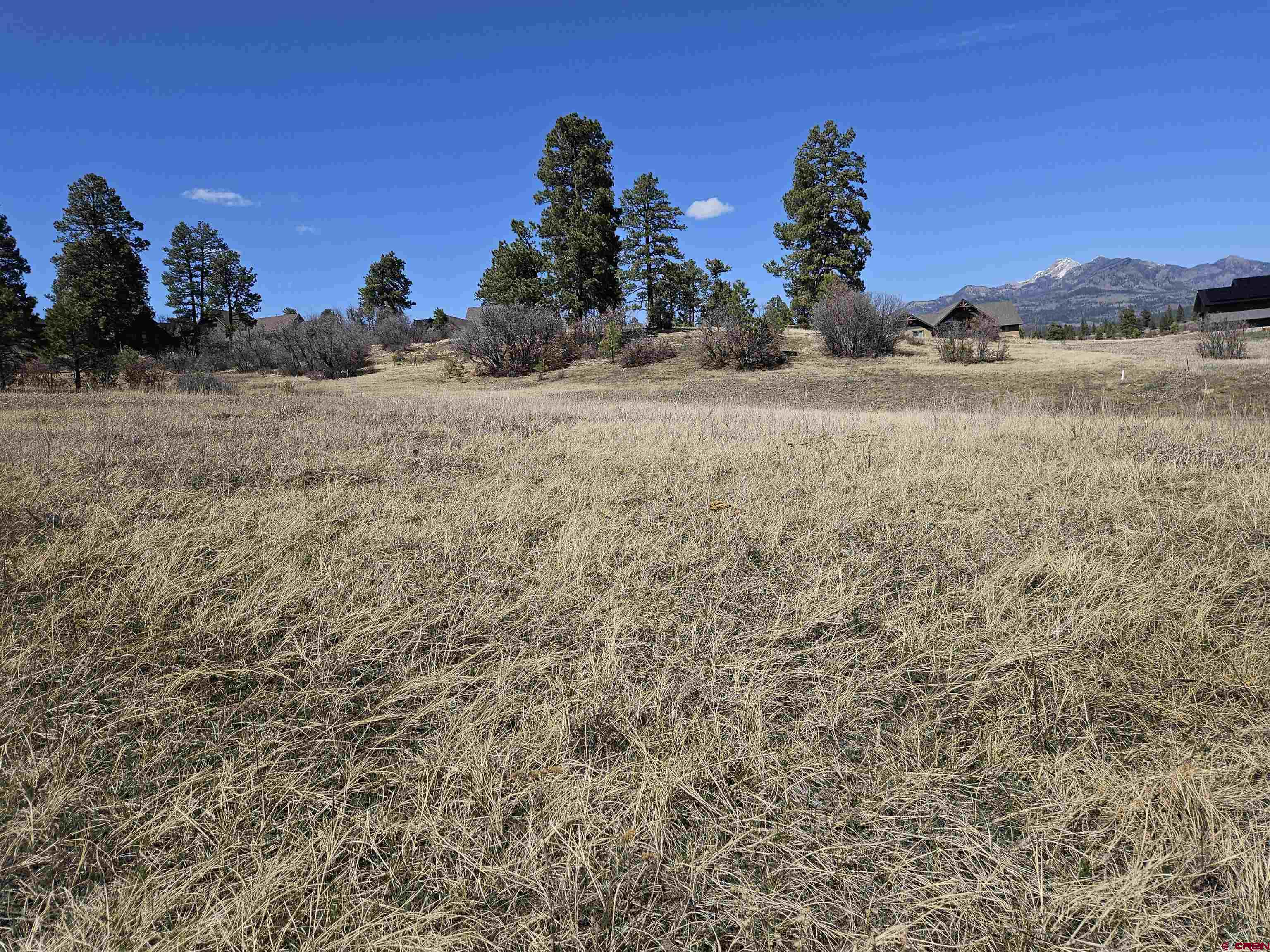 721 Clint Circle Pagosa Springs, CO 81147 - Photo 8 of 42