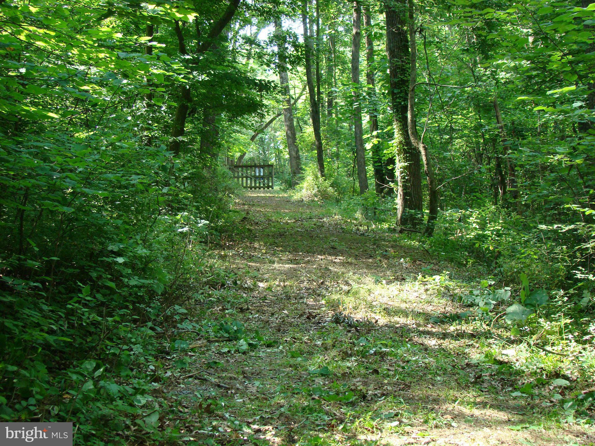 Oak Ridge Road Edinburg, VA 22824 - Photo 6 of 22 View