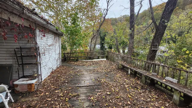 a view of a yard with plants and large trees