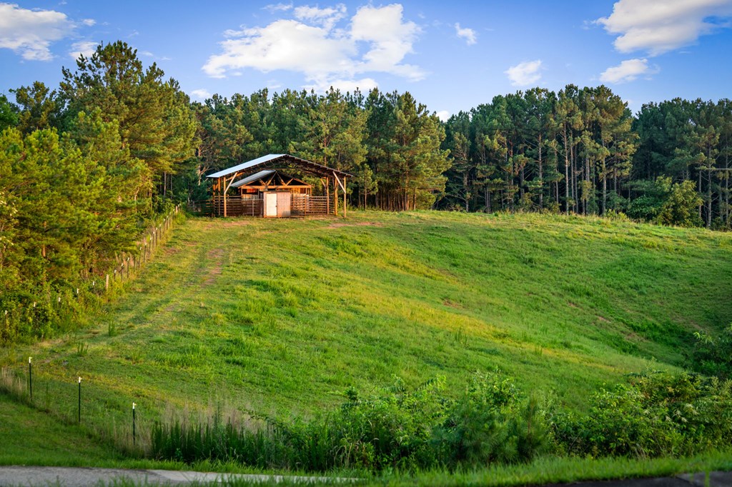 752 Cherokee Trail Copperhill, TN 37317 - Photo 5 of 84 Barn/Pasture
