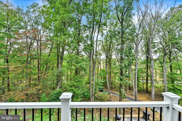 a view of a white and red tree