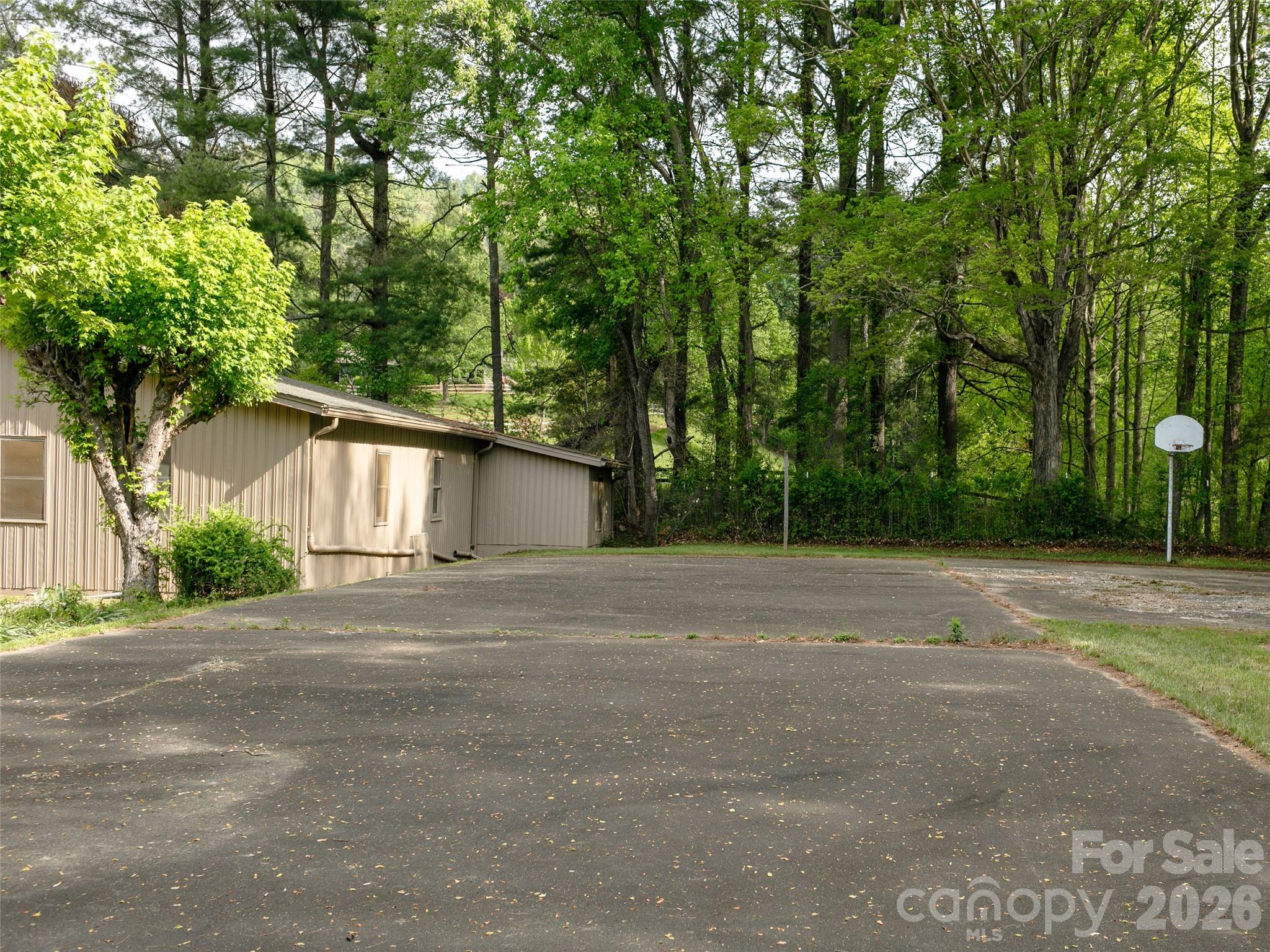 110 Crest View Road Burnsville, NC 28714 - Photo 30 of 45 a backyard of a house with large trees and plants