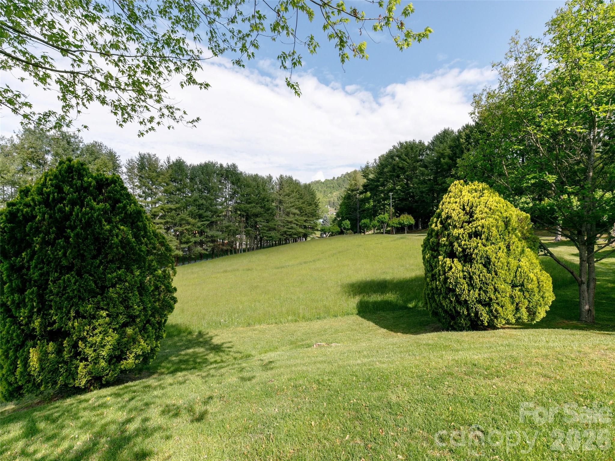 110 Crest View Road Burnsville, NC 28714 - Photo 38 of 45 a view of a garden