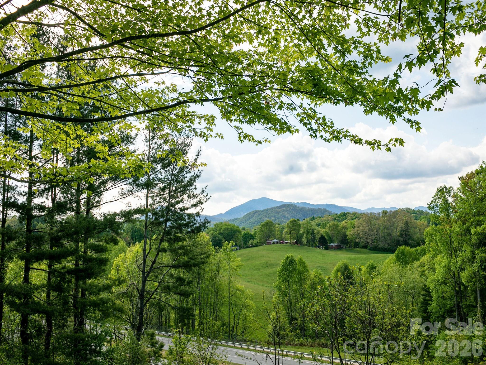 110 Crest View Road Burnsville, NC 28714 - Photo 45 of 45 a view of a lush green forest with lots of trees