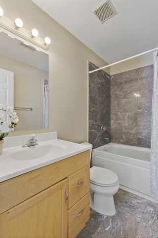 2349 West Harrison Street, Unit 1 Chicago, IL 60612 - Photo 15 of 25 a bathroom with a sink a toilet and a bathtub