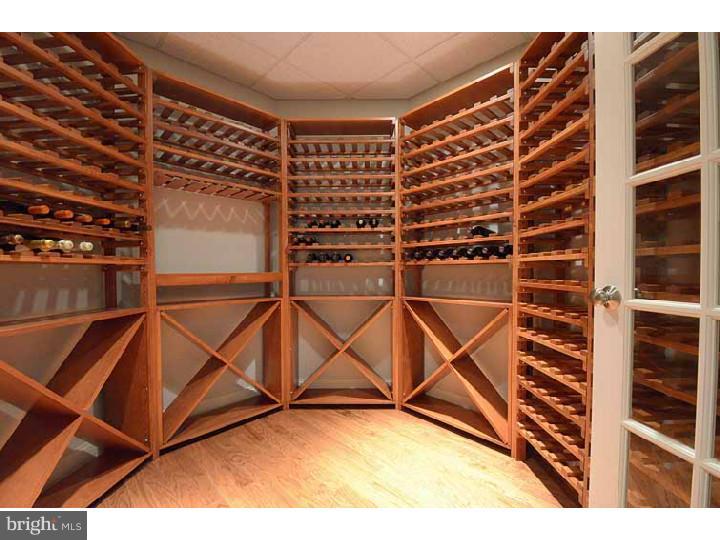 8 Wicklow Court Wayne, PA 19087 - Photo 24 of 25 Wine Cellar