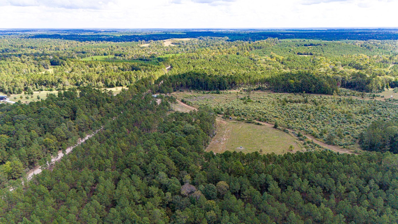 0 Oakdale Loop Livingston, TX 77351 - Photo 4 of 11 a view of lake from a yard