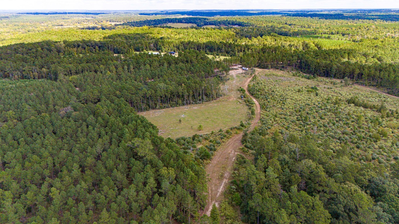 0 Oakdale Loop Livingston, TX 77351 - Photo 6 of 11 a view of a forest with a lake