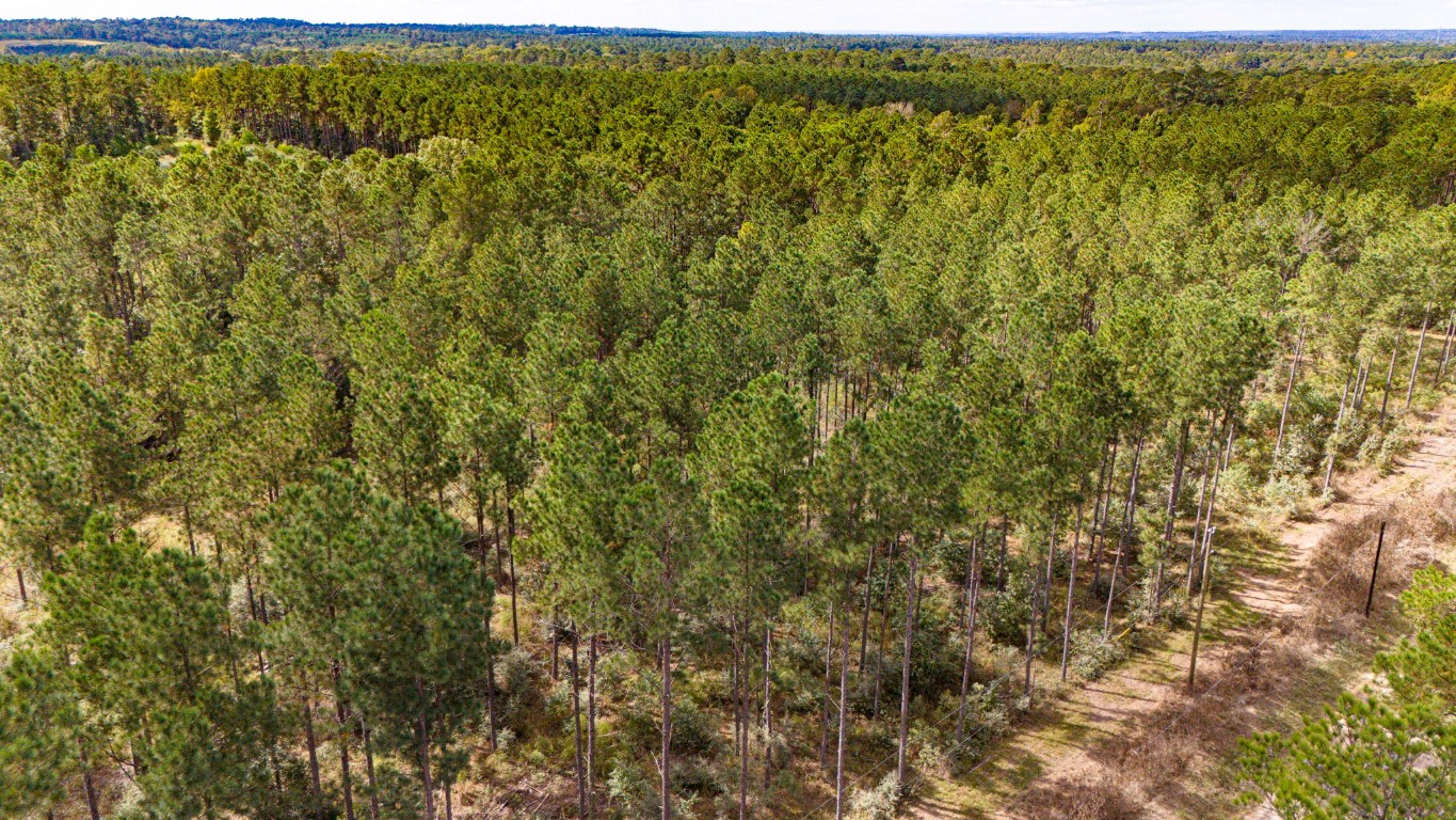 0 Oakdale Loop Livingston, TX 77351 - Photo 7 of 11 a view of a field with an outdoor space