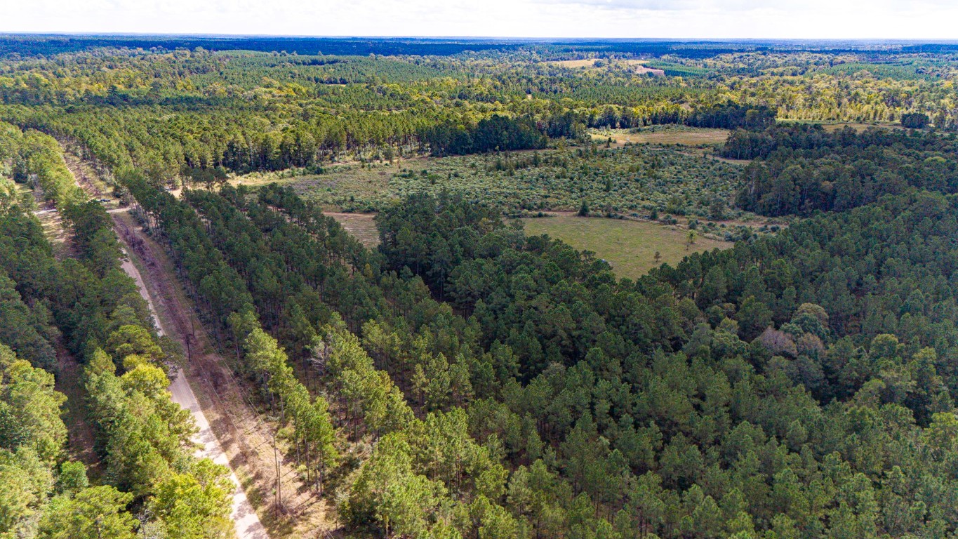0 Oakdale Loop Livingston, TX 77351 - Photo 10 of 11 a view of a forest with a lush green hillside and a houses