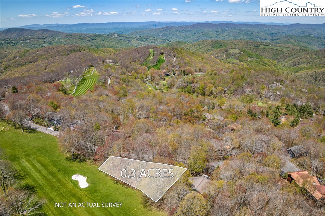 201 Grassy Gap Loop Road Beech Mountain, NC 28604 - Photo 2 of 16 a view of an outdoor space