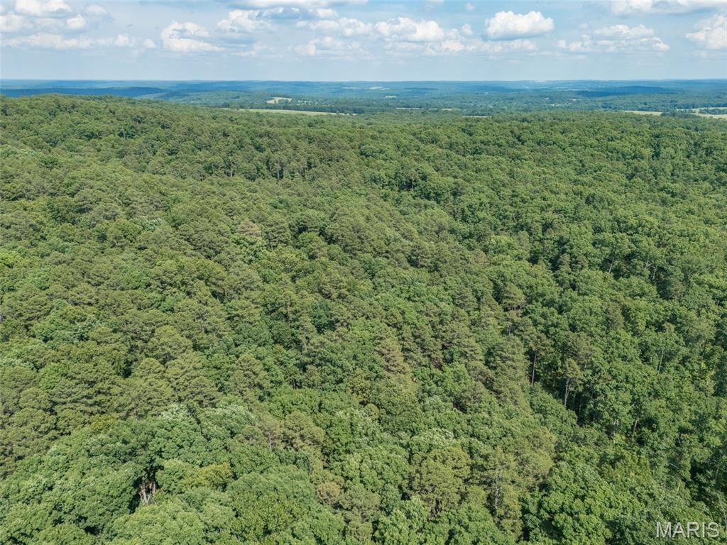 10130 Fish Hook Road Potosi, MO 63664 - Photo 20 of 29