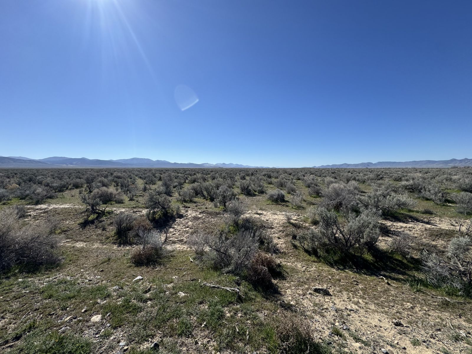 Filippini Ranch Road Battle Mountain, NV 89820 - Photo 4 of 10