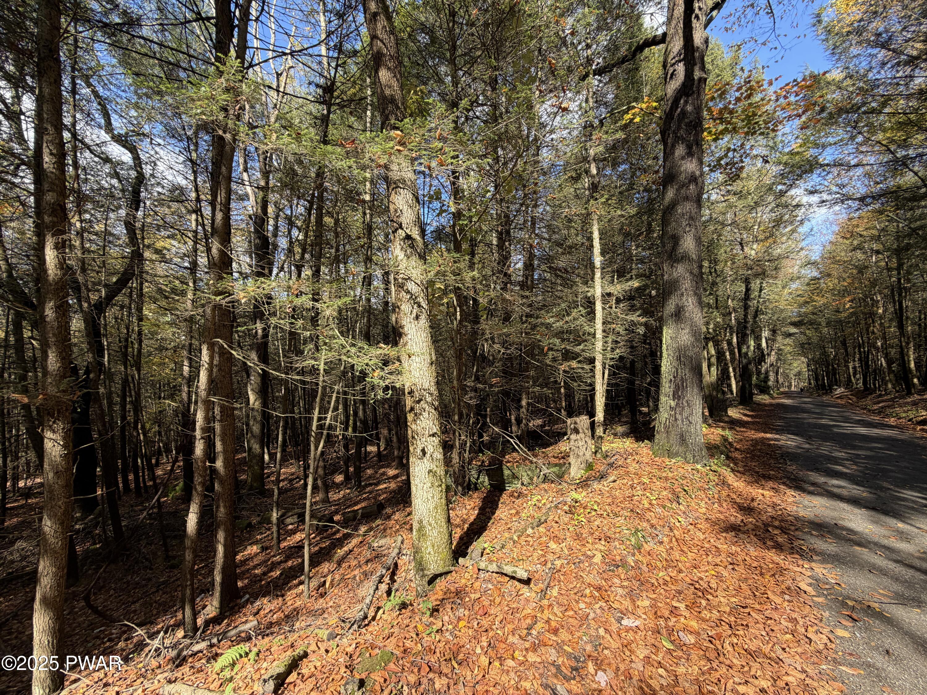 Knickerbocker Road Carbondale, PA 18407 - Photo 6 of 7