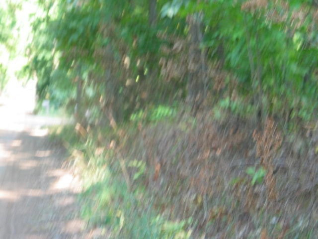 11329 Mercer Road Jerome, MI 49249 - Photo 21 of 22 IMG_5960
