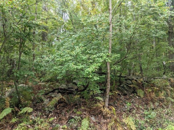 Lot 0 Colburn Road Charlton, MA 01507 - Photo 2 of 4 Gallery Image 2
