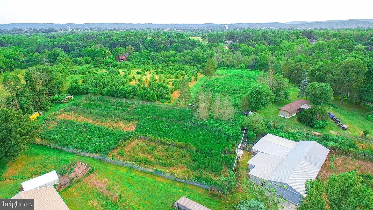 2071 Baus Road East Greenville, PA 18041 - Photo 4 of 6 a view of a big yard