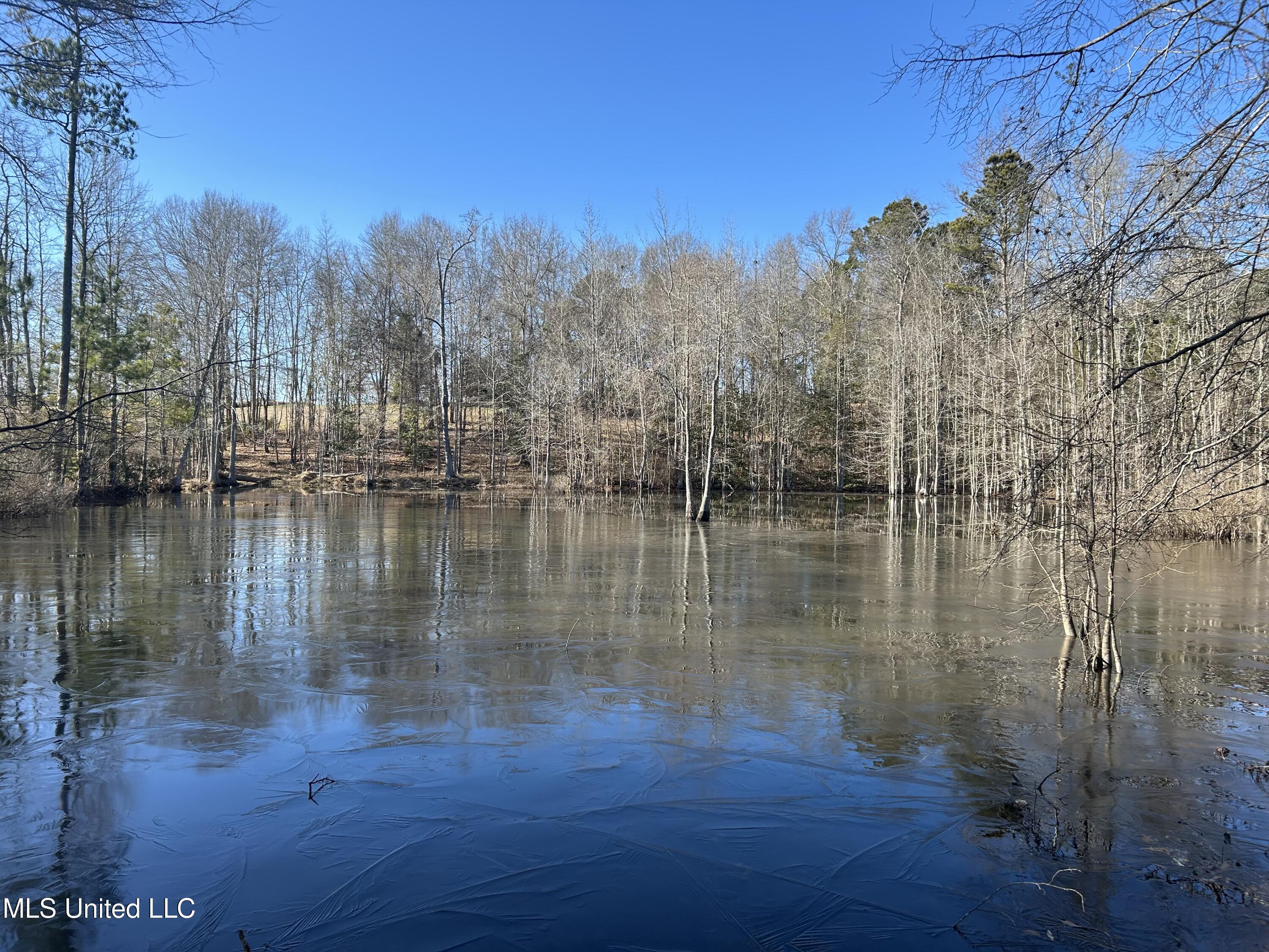 307 Willis Road Decatur, MS 39327 - Photo 4 of 41 4