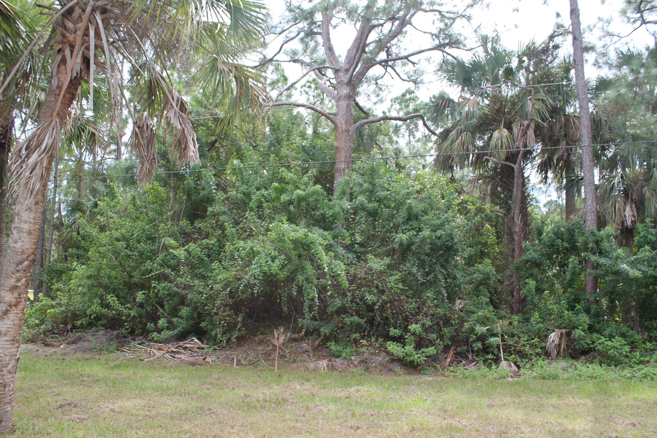 1304 Sapulpa Road Southwest Palm Bay, FL 32908 - Photo 26 of 27 2018 pics cannon 245
