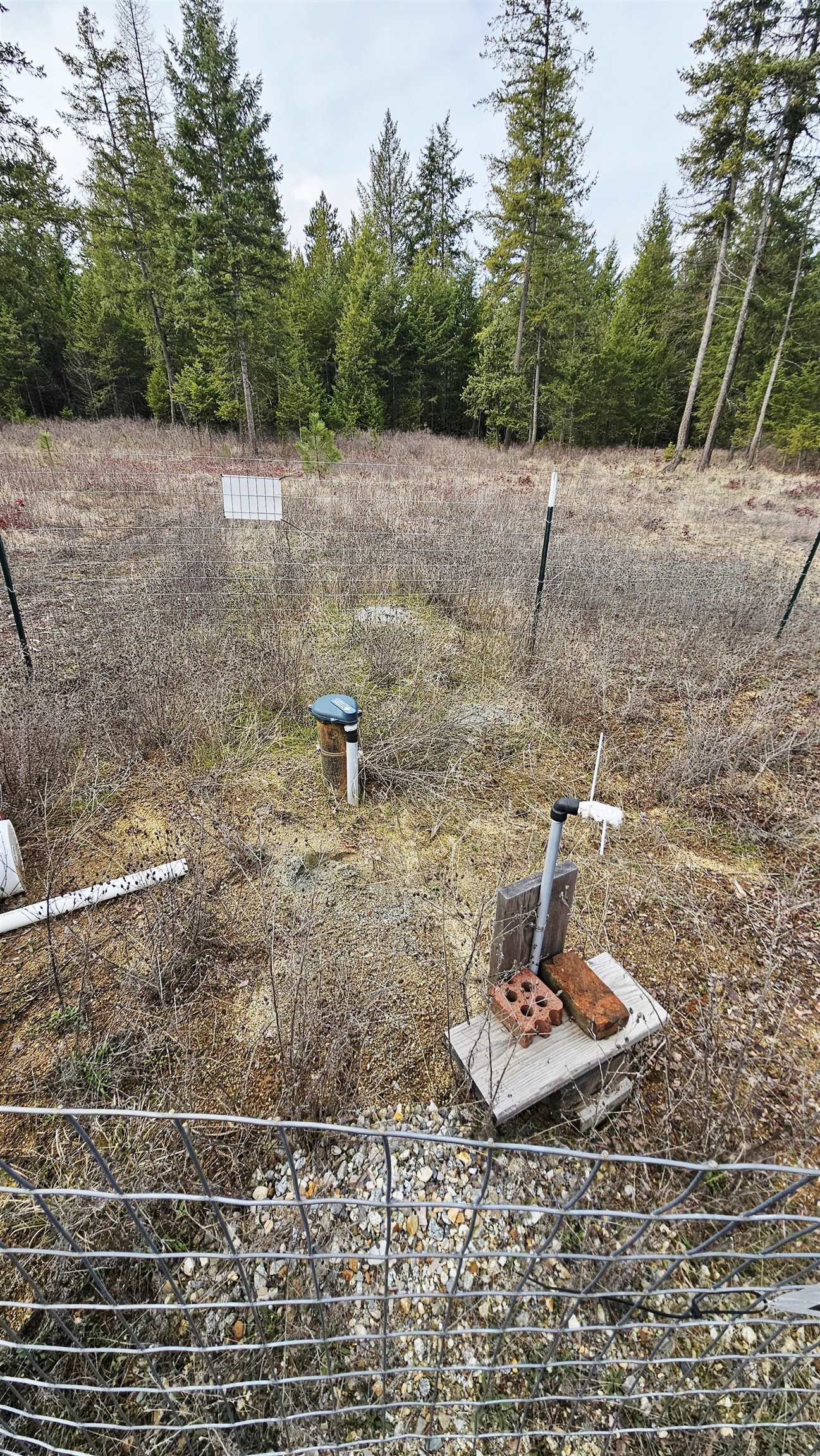 12818 East Bridges Road Elk, WA 99009 - Photo 11 of 25