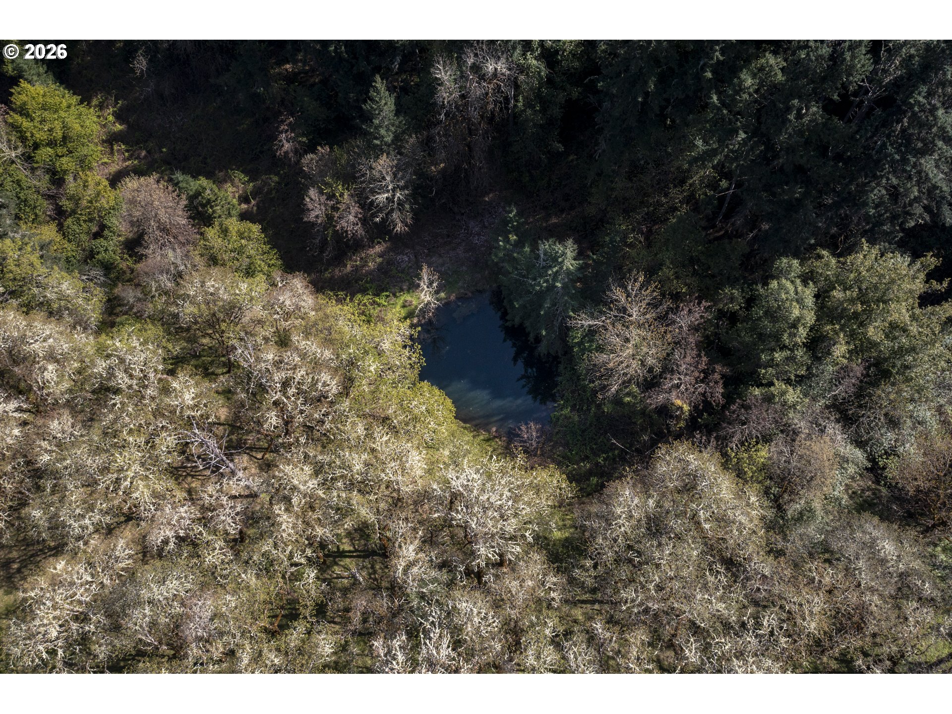 1349 Willis Creek Road Winston, OR 97496 - Photo 47 of 48
