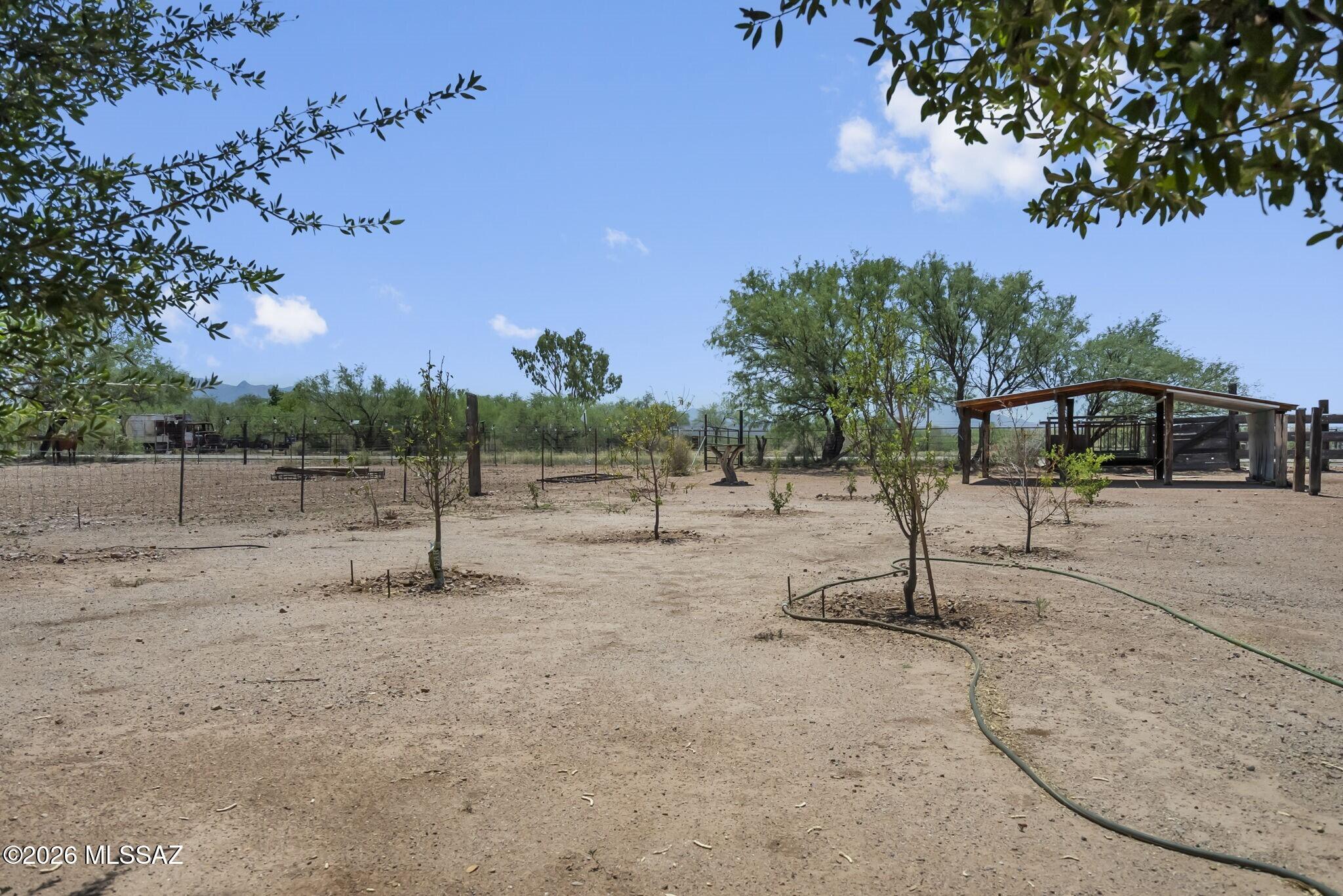 5216 West Arivaca Road Amado, AZ 85645 - Photo 43 of 50 Desert Landscape