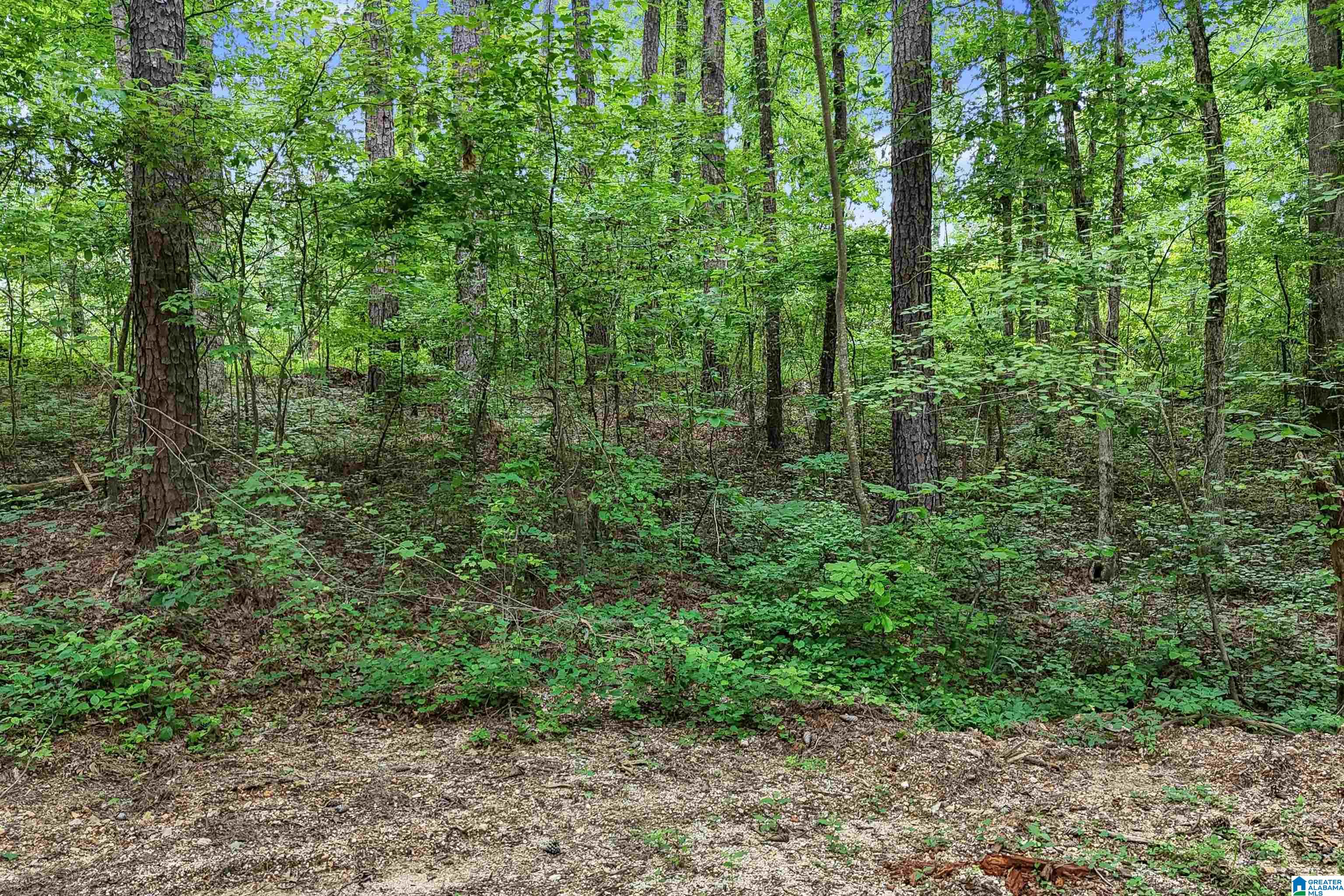 0 Red Oak Circle Helena, AL 35080 - Photo 17 of 21