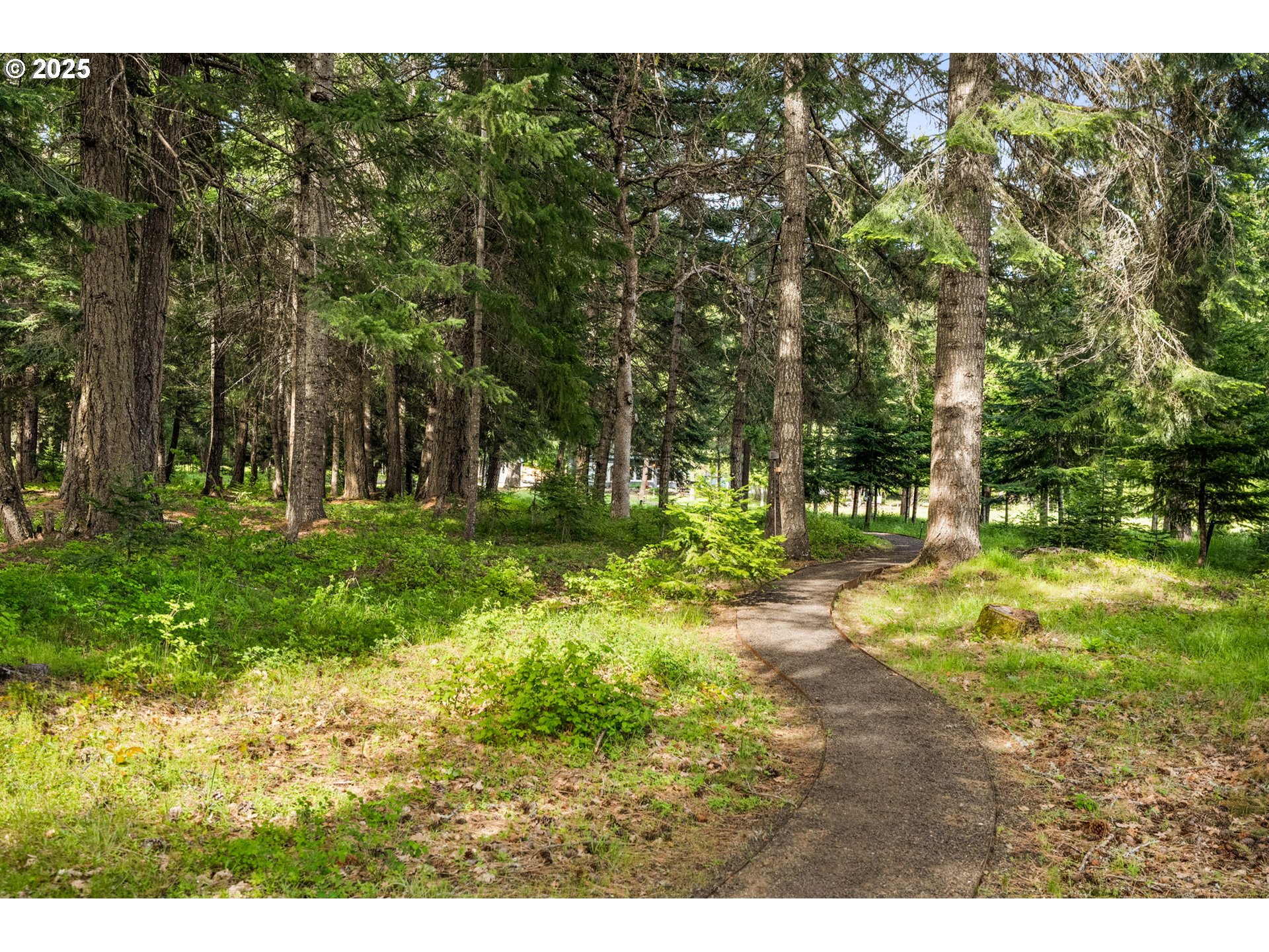 961 Snowden Road White Salmon, WA 98672 - Photo 31 of 48 a grassy field with trees in the background