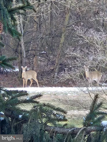 $399,999 | 1203 Ashmead Square, Belcamp, MD 21017