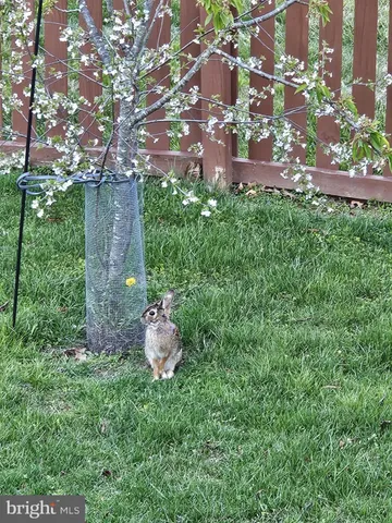 $399,999 | 1203 Ashmead Square, Belcamp, MD 21017