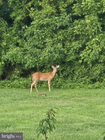 $399,999 | 1203 Ashmead Square, Belcamp, MD 21017