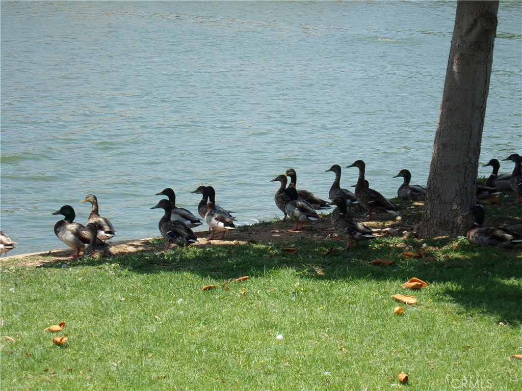 1598 Border Avenue, Unit H Corona, CA 92882 - Photo 35 of 37