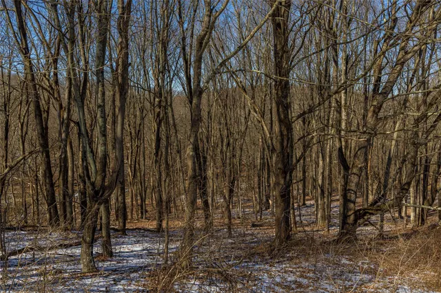 $750,000 | 199 Road, Red Hook, NY 12571