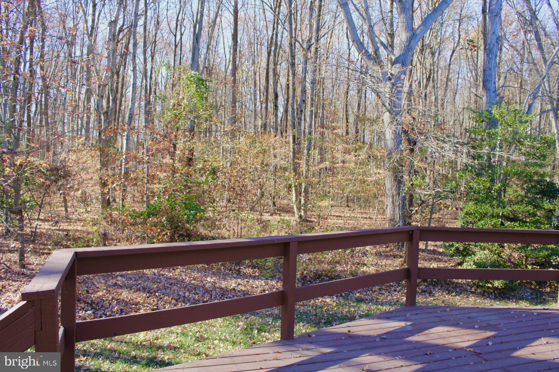 13 Split Rail Lane Newark, DE 19702 - Photo 14 of 37