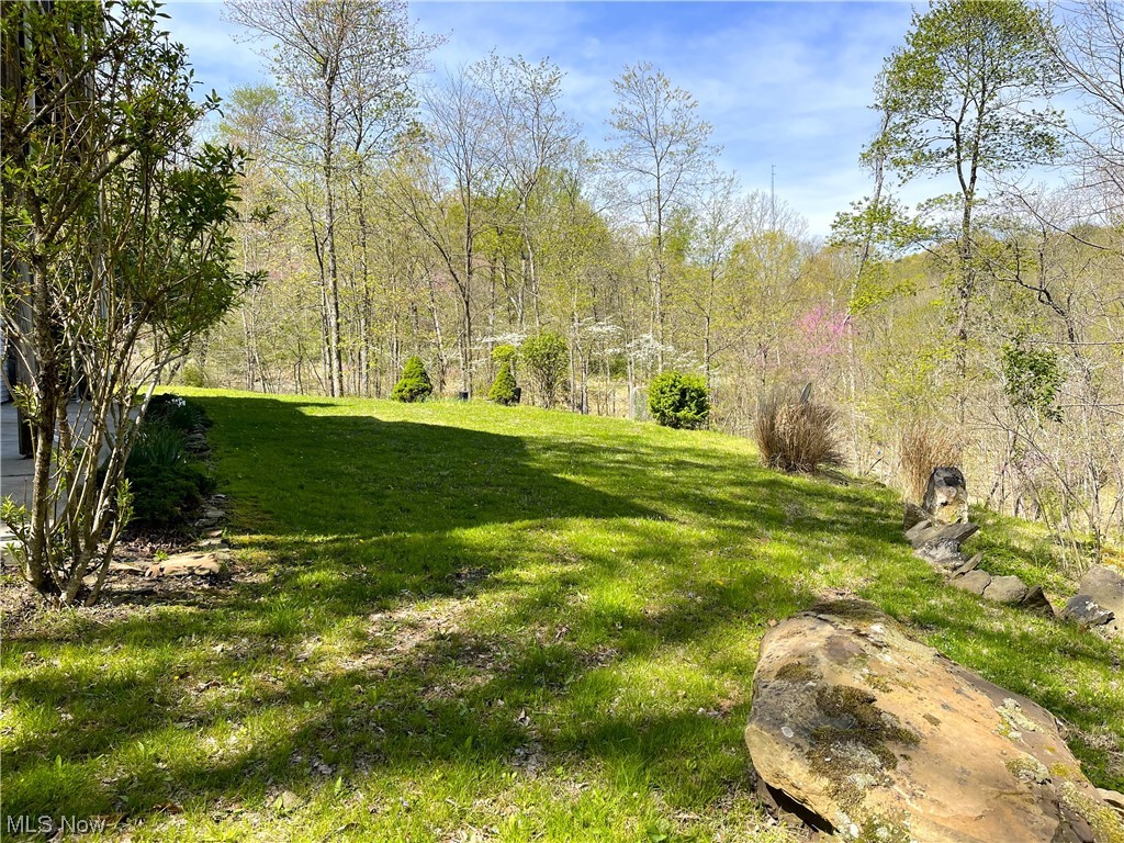 405 Twin Bridge Road Little Hocking, OH 45742 - Photo 29 of 34 level back yard