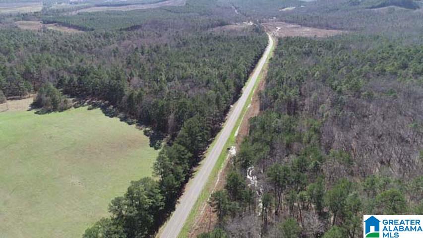 0 Plant Road, Unit 24ACRES Alpine, AL 35014 - Photo 3 of 4 Gallery Image 3