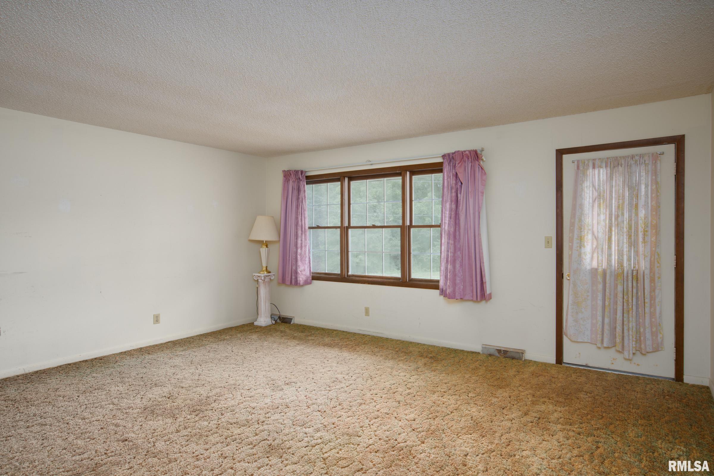 17209 Canaville Road Creal Springs, IL 62922 - Photo 4 of 35