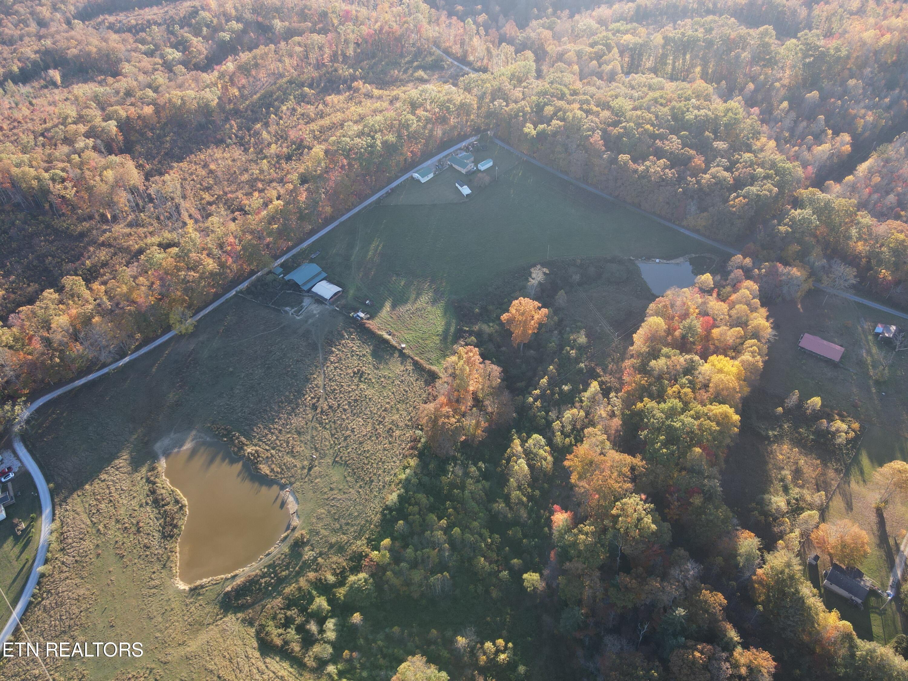 361 Newport Road Sunbright, TN 37872 - Photo 9 of 10 dji_fly_20231024_174736_432_169818406714